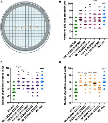 Novel EAAT2 activators improve motor and cognitive impairment in a transgenic model of Huntington’s disease